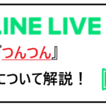 つんつん 解説