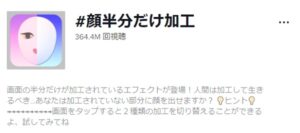 顔だけ半分加工ティックトック