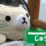 じゅうくんのアイキャッチ画像