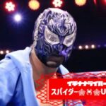 スパイダーさんのアイキャッチ画像