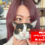 ハチワレ三毛猫もなか🐱と飼い主もなママ(なお)さんアイキャッチ画像