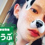 しょうぶさんの画像