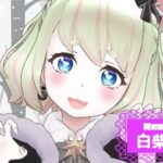 白柴のんさんの画像