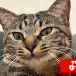 ゆっけさんの画像