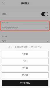 17ギャング機能通知設定