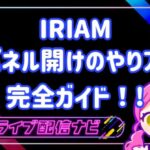 IRIAMパネル開け