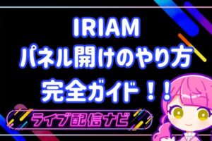 IRIAMパネル開け